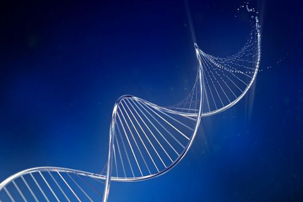 房山区DNA亲子鉴定机构